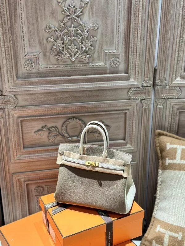 DDMode 18 Etoupe / 10 Craie Togo Leather Birkin 25CM Brush GHW