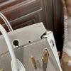 DDMode 18 Etoupe / 10 Craie Togo Leather Birkin 25CM Brush GHW