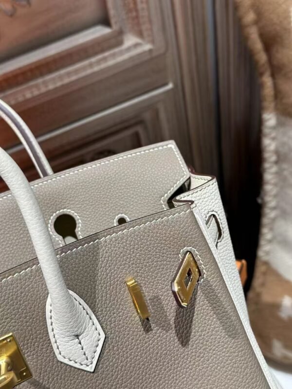 DDMode 18 Etoupe / 10 Craie Togo Leather Birkin 25CM Brush GHW