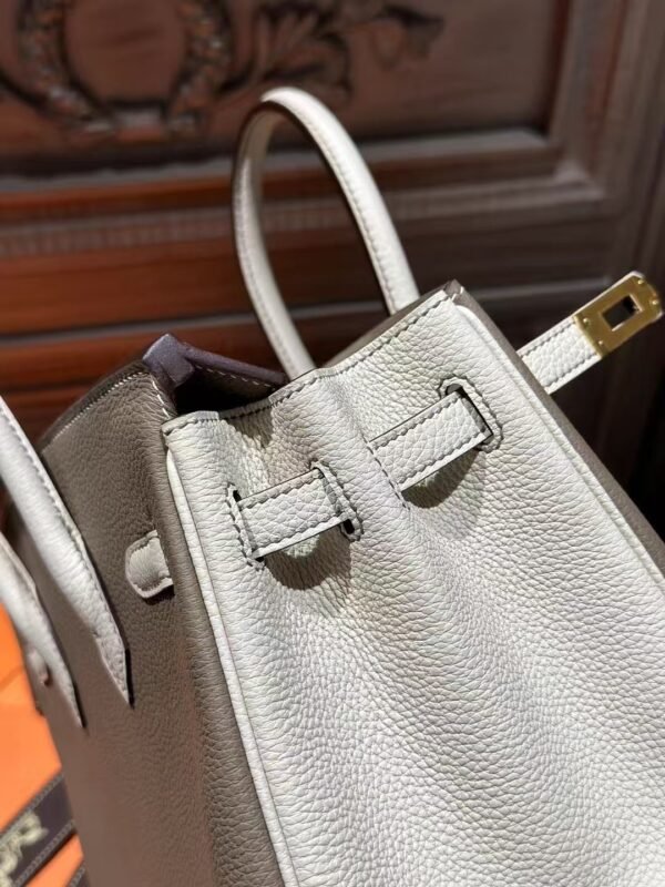 DDMode 18 Etoupe / 10 Craie Togo Leather Birkin 25CM Brush GHW