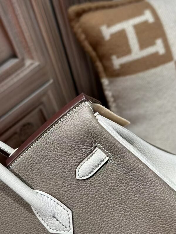 DDMode 18 Etoupe / 10 Craie Togo Leather Birkin 25CM Brush GHW