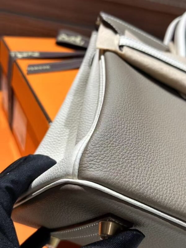 DDMode 18 Etoupe / 10 Craie Togo Leather Birkin 25CM Brush GHW