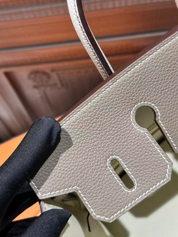 DDMode 18 Etoupe / 10 Craie Togo Leather Birkin 25CM Brush GHW
