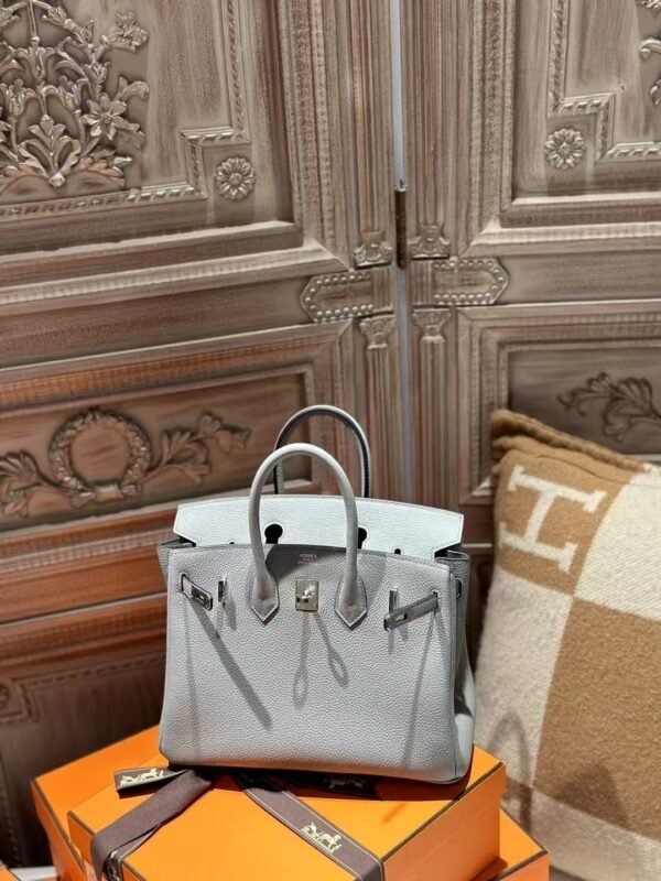 DDMode Bag Price P0 Gris Pantin Togo Leather Birkin 25CM PHW