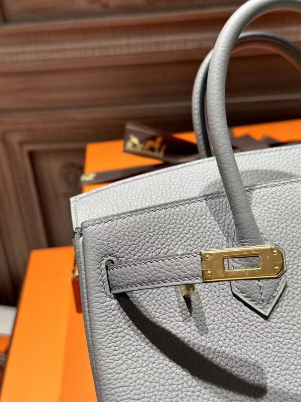 DDMode Birkin 25CM Togo Leather 2025 New Color P0 Gris Pantin GHW