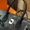 DDMode Birkin Sellier 20CM Lizard Leather CK89 Black PHW