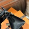 DDMode Birkin Sellier 20CM Lizard Leather CK89 Black PHW