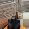 DDMode Birkin Sellier 20CM Lizard Leather CK89 Black PHW