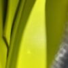 DDMode Bolide 25CM Evercolor H0 Gris Misty / 9R Lime PHW