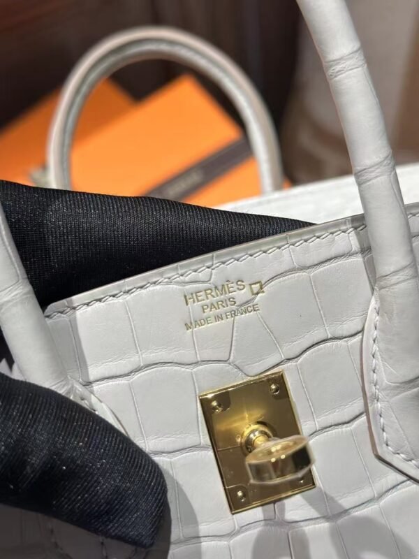 DDMode Hermes Matte Crocodile Birkin 25CM 8L Beton GHW