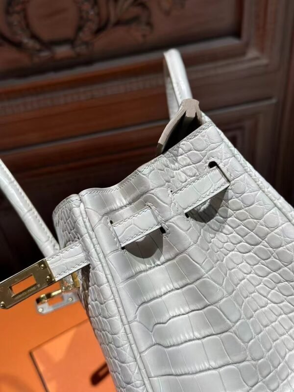 DDMode Hermes Matte Crocodile Birkin 25CM 8L Beton GHW