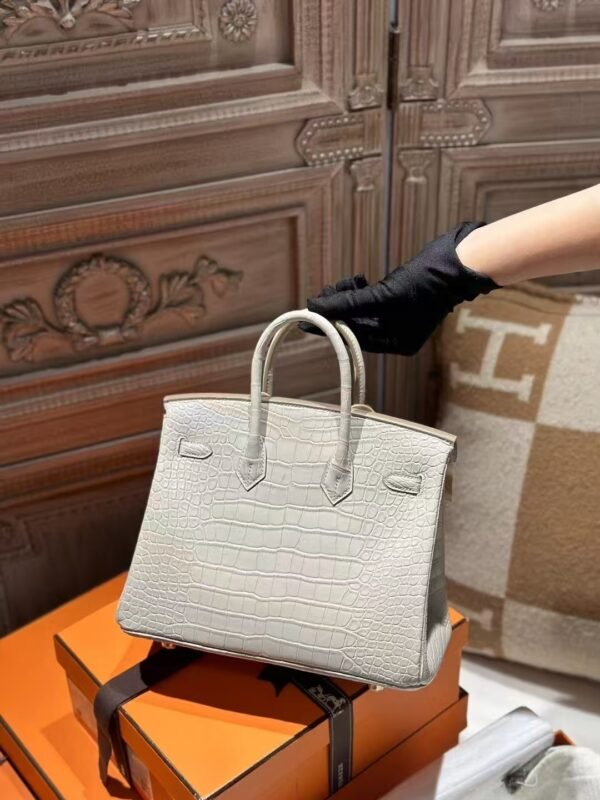 DDMode Hermes Matte Crocodile Birkin 25CM 8L Beton GHW