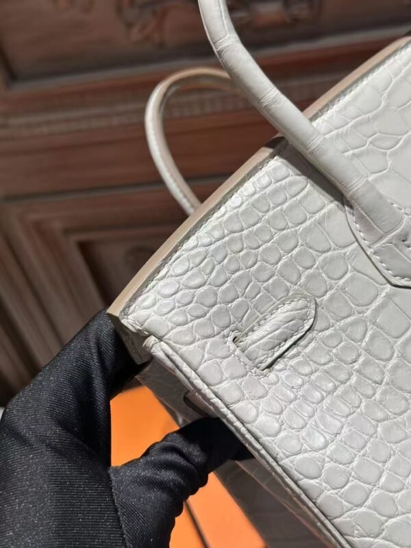 DDMode Hermes Matte Crocodile Birkin 25CM 8L Beton GHW