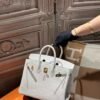DDMode Hermes Matte Crocodile Birkin 25CM 8L Beton GHW