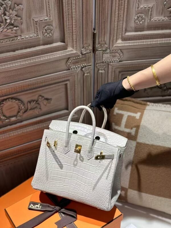 DDMode Hermes Matte Crocodile Birkin 25CM 8L Beton GHW