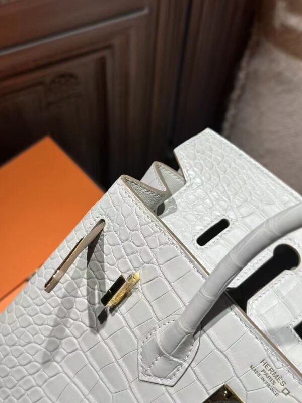 DDMode Hermes Matte Crocodile Birkin 25CM 8L Beton GHW