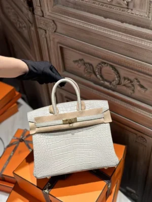 DDMode Hermes Matte Crocodile Birkin 25CM 8L Beton GHW