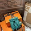 DDMode Kelly Jump Backpack Swift Leather U4 Vert Vertigo GHW