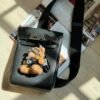 DDMode HAC A DOS BACKPACK Black (CK89) Togo Leather SHW