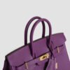 DDMode Birkin 25CM Epsom Leather P9 Anemone GHW