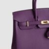DDMode Birkin 25CM Epsom Leather P9 Anemone GHW