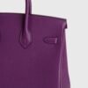 DDMode Birkin 25CM Epsom Leather P9 Anemone GHW