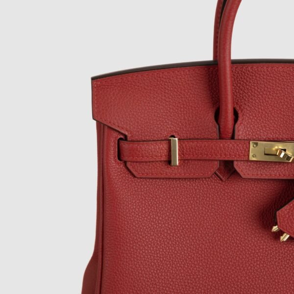 DDMode Birkin 25CM Q5 Rouge Casaque Togo Leather GHW