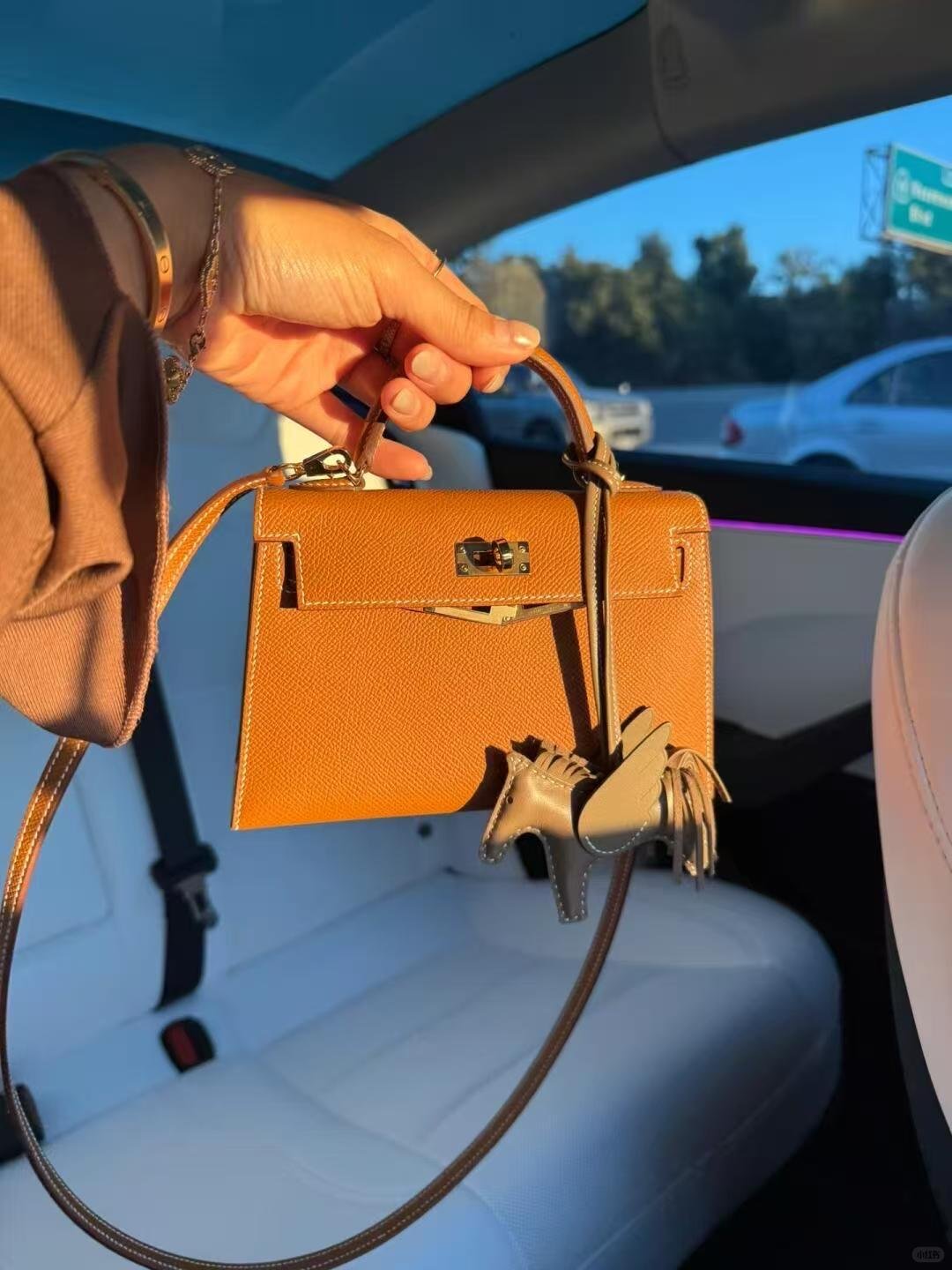DDMode Mini Kelly Color Gold Bags Reviews 07
